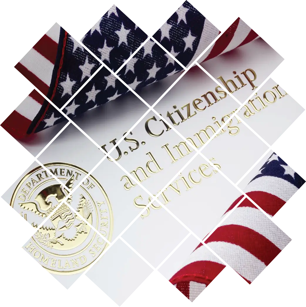 Immigration Form Preparation Services